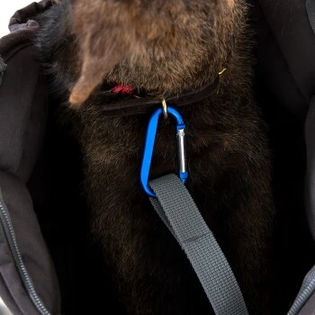 Doctor Bark Hundetragetasche grau M