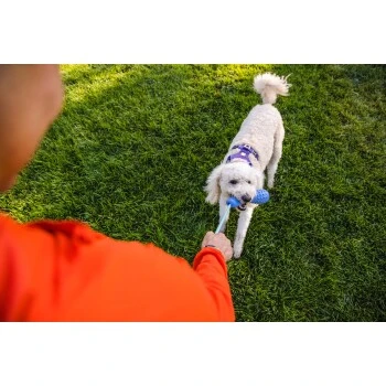 Ruffwear Gourdo™ Spielzeug L violett