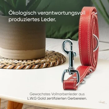 Freudentier Hundeleine aus Leder, verstellbar rot 2 cm