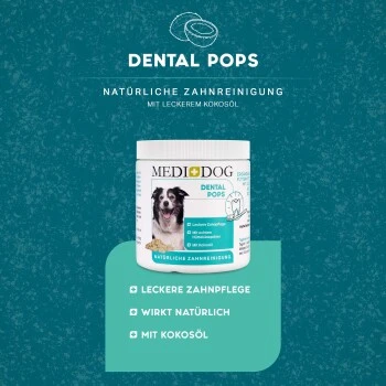 MediDog Dental Pops