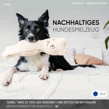 Freudentier nachhaltiges Hundespielzeug Daniel
