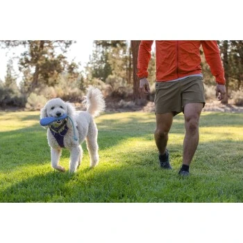 Ruffwear Gourdo™ Spielzeug L violett