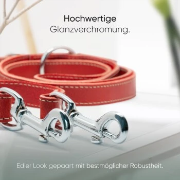 Freudentier Hundeleine aus Leder, verstellbar rot 2 cm