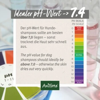 Aniforte Shampoo Kokos Fellharmonie 200ml