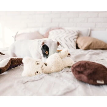 Freudentier nachhaltiges Hundespielzeug Daniel