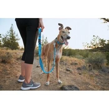 Ruffwear Web Reaction™ Halsband blau S