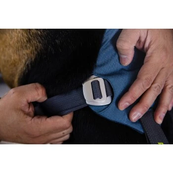 Ruffwear Auto-Sicherheitsgeschirr Load Up™ M
