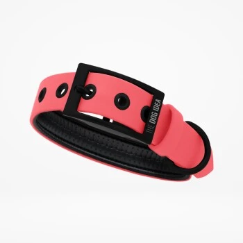 THE DOG IDEA Biothane Halsband Coral koralle M