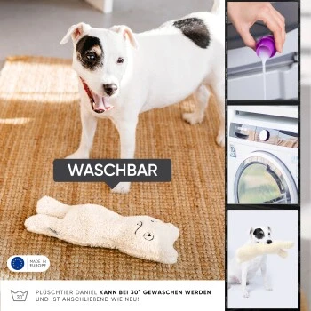 Freudentier nachhaltiges Hundespielzeug Daniel