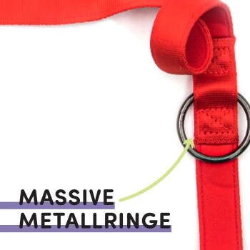 STUCH Hundeleine - Führleine - Medium rot