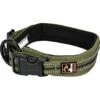 Dogs Creek Halsband Voyager Grün S