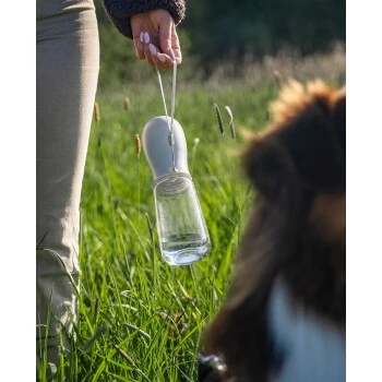 Lionto Hundetrinkflasche für Unterwegs grau 0,5 cm³