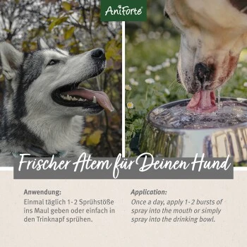 Aniforte Dentalspray Zahnpflege Spray 100ml