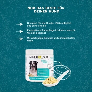 MediDog Dental Pops