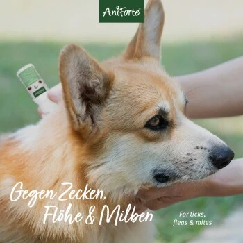 Aniforte Spot-on für Hunde Ectoprotex