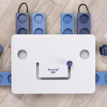 Trixie Dog Activity Move2Win