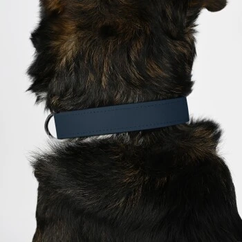THE DOG IDEA Biothane Halsband Navy neon gelb XS