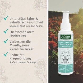 Aniforte Dentalspray Zahnpflege Spray 100ml