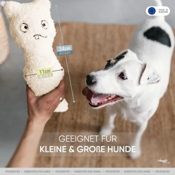 Freudentier nachhaltiges Hundespielzeug Daniel