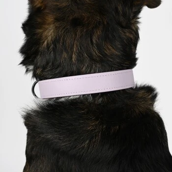 THE DOG IDEA Biothane Halsband Lavendel violett S
