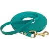 Bio-leine Ab 35 Kg Biothane Schleppleine Türkis 3 M