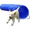 Dobar Agility Tunnel, 60 X 500 Cm