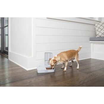 PetSafe Futterautomat für 2 Mahlzeiten