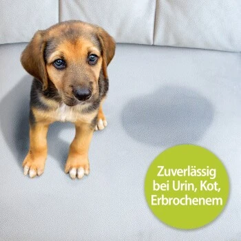 Bactador Geruchs- und Fleckenentferner Konzentrat 1 L