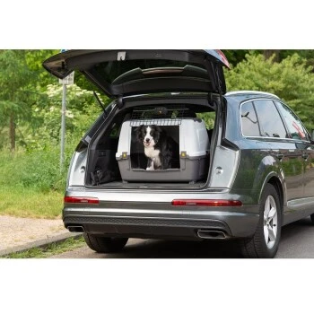 AniOne Kofferraumbox M