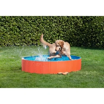 FIT+FUN Pool S