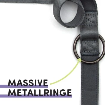 STUCH Hundeleine - Führleine - Large grau