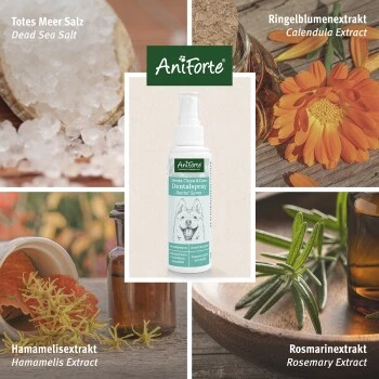 Aniforte Dentalspray Zahnpflege Spray 100ml
