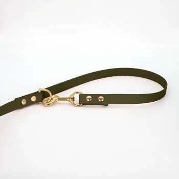 THE DOG IDEA Biothane Hundeleine Gold Khaki