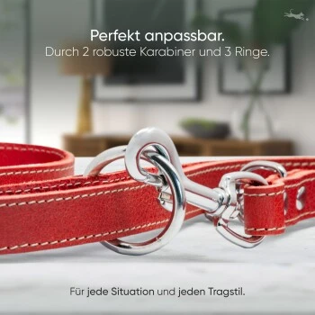 Freudentier Hundeleine aus Leder, verstellbar rot 2 cm