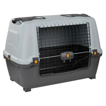 AniOne Kofferraumbox M