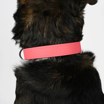 THE DOG IDEA Biothane Halsband Coral koralle M
