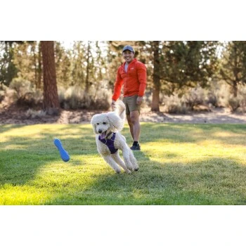 Ruffwear Gourdo™ Spielzeug L violett