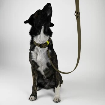 THE DOG IDEA Biothane Hundeleine Khaki neon gelb