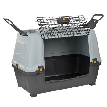 AniOne Kofferraumbox M