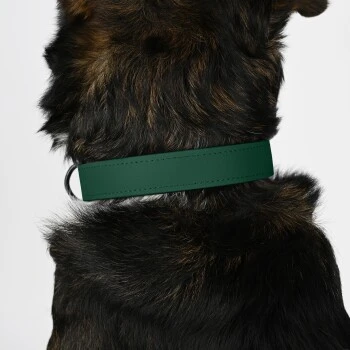 THE DOG IDEA Biothane Halsband Dunkelgrün XS